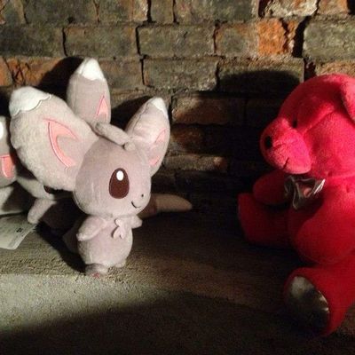 Il était une fois... Chinchidoux.... 