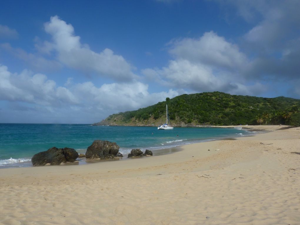 Marché à Marigot et plage.