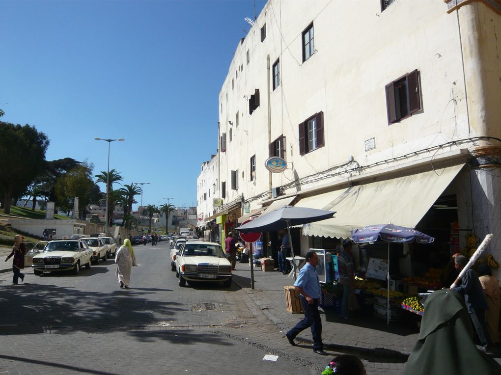 Images de Tanger : Medina, Casbah, Mosquée, ruelles, place, socco,souk, port de pêche, marché aux poissons, scènes de rue, lumières et couleurs de Tanger ...

(C'est peut être là que je vais finir ma vie ...)