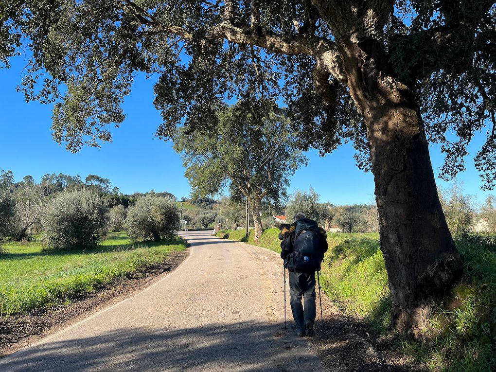 Notre matinée entre route circulante, chemin mouillé et petite départementale. Des grands chênes lieges et de jolis jardins.