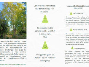 Le point info arbres en Gironde - Pour bien vivre avec son arbre