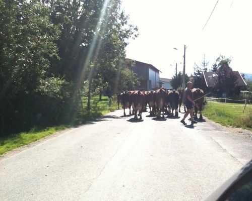 Embouteillage Chablaisien