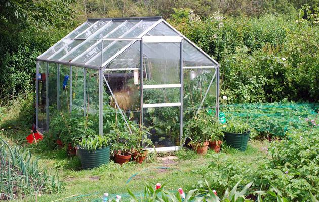 Greenhouses Glass: Enhancing Your Gardening Experience