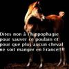 SAUVONS LES CHEVAUX!!!