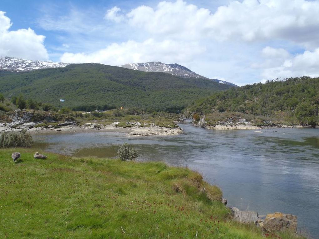 Album - Argentine---Ushuaia-PuertoMadryn-Iguazu