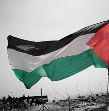 PALESTINA: il 16/03 a Roma partecipiamo alla manifestazione contro l'azienda italiana Pizzarotti... news