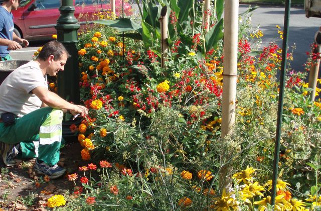 Nos villages fleuris récompensés