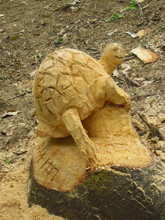 Chantier festi-créatif (mosaïque, sculpture sur souche, totem arbre, restauration bergerie) avec le groupe Blow di Vostok venu d'Angoulème en mai 2010.