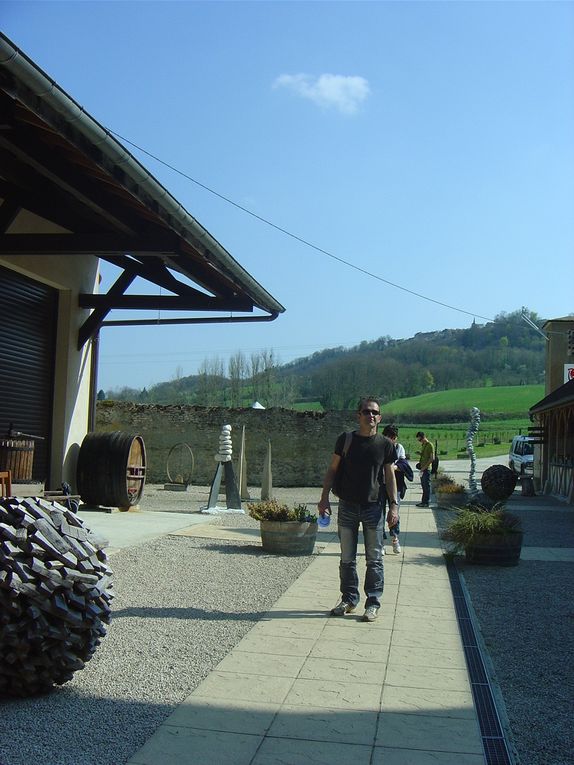 le vignoble en attente du passage des chasseurs.
Les dépôts dans l'urne.
Le repas champêtre.