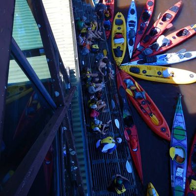 Kayak dans les Everglades