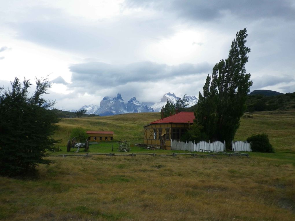 Album - 03/ Puerto Madryn et Torres del Paine
