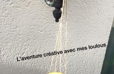 Mangeoire à oiseaux avec la peau d'une orange  