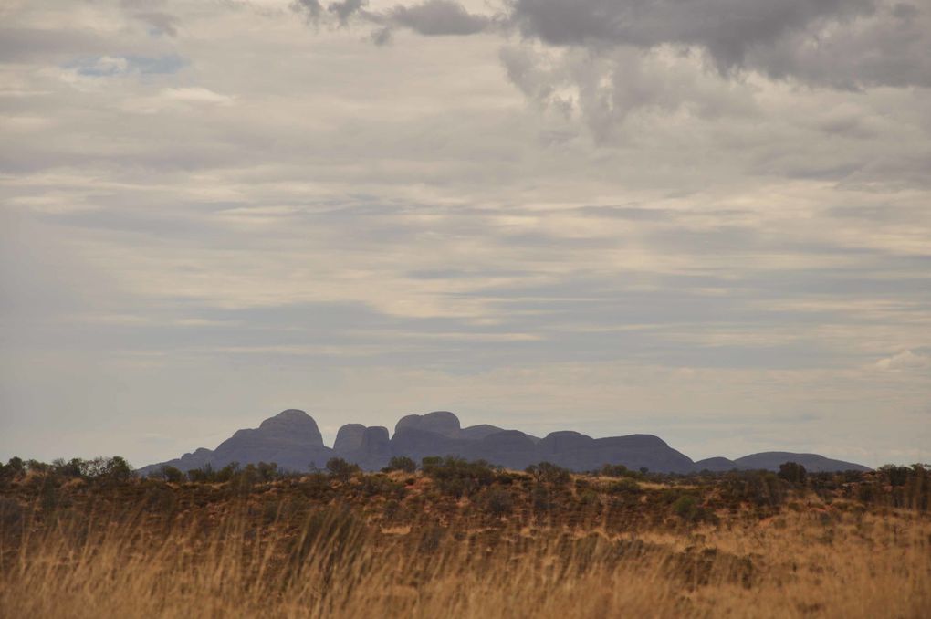 Album - Uluru &amp; Kata Tjuta