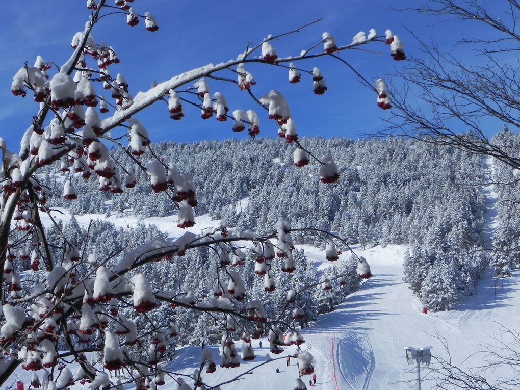 Neige, ciel bleu et Soleil !