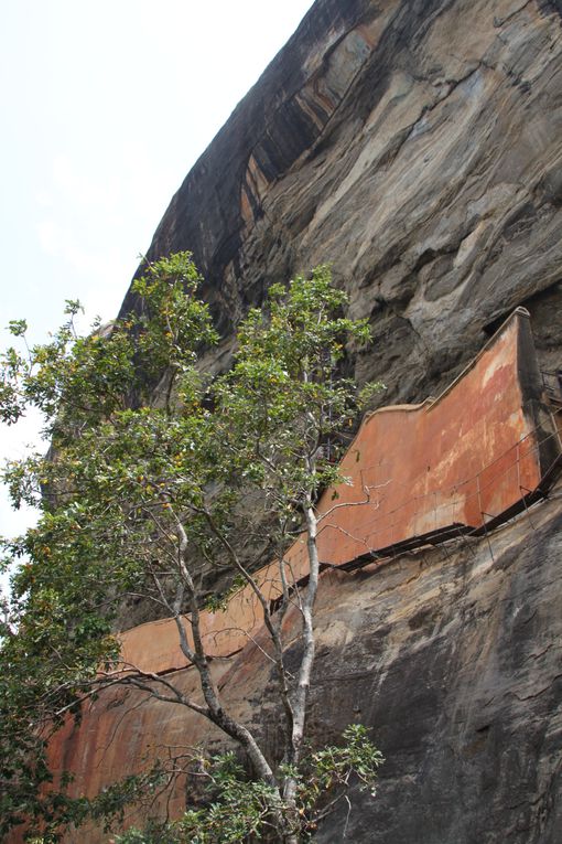 LION ROCK 

il suffit de monter qq marches et en un clin d'oeil vous voila sur le toit du monde!