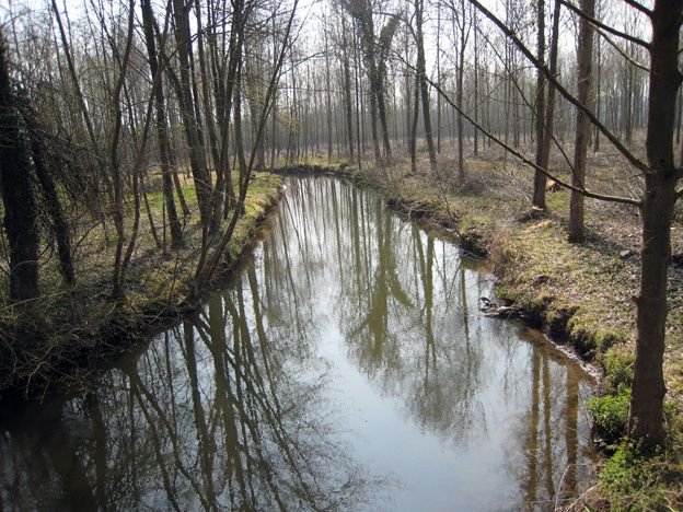 Quelques images glanées au hasard de mes randos normandes.