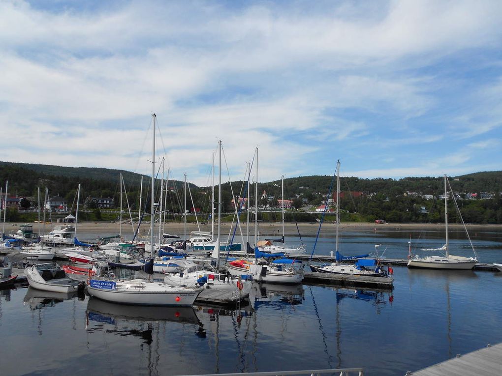Fjord du Saguenay + Tadoussac et ses 2 baleines  (Août)
