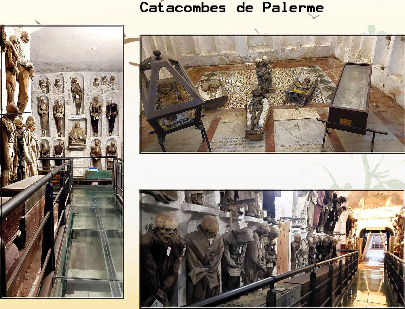 "affinites france italie" catacombes de palerme