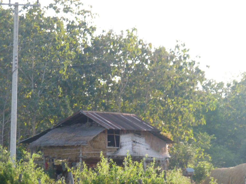 Et voilà les photos du Laos. Comme vous pourrez le voir, les paysages sont variés et nombreux