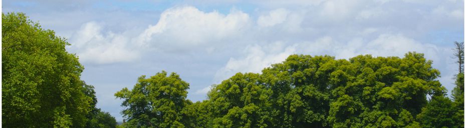 Retour au Parc Jean-Jacques Rousseau à Ermenonville