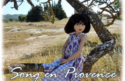 Song en Provence  (c'est fini)