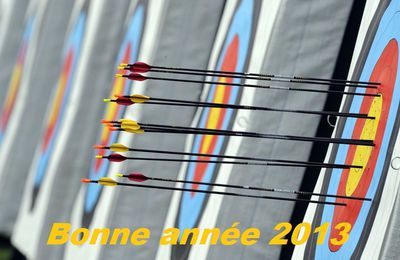 Bonne année 2013