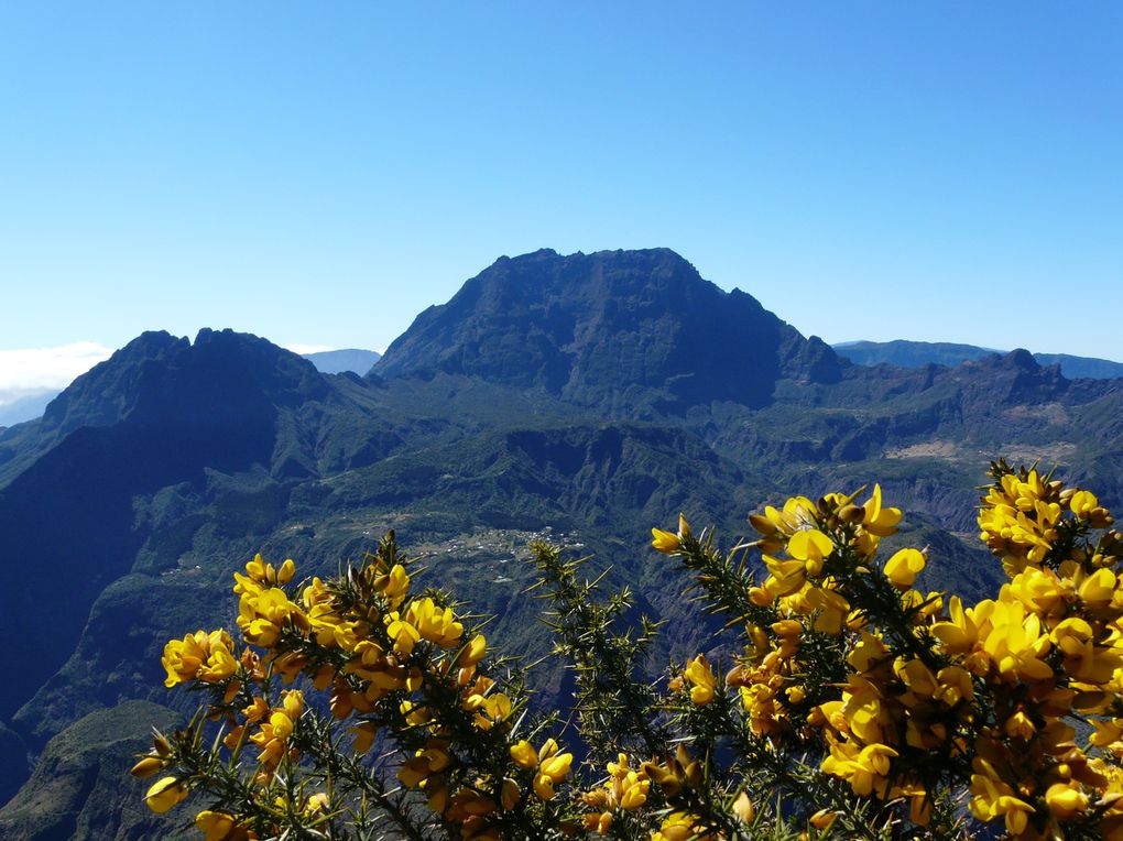 Album - ile-de-la-Reunion