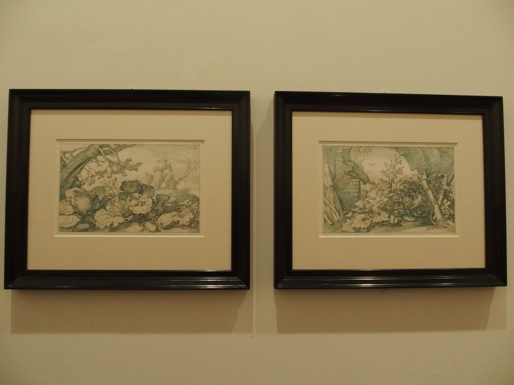 Vues de l'exposition Dessins néerlandais de paysage. Collection John et Marine van Vlissingen. Fondation Custodia, Paris © photographies Le Curieux des arts Antoine Prodhomme, 2016