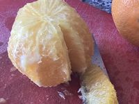 Salade hivernale d’avocat et orange 