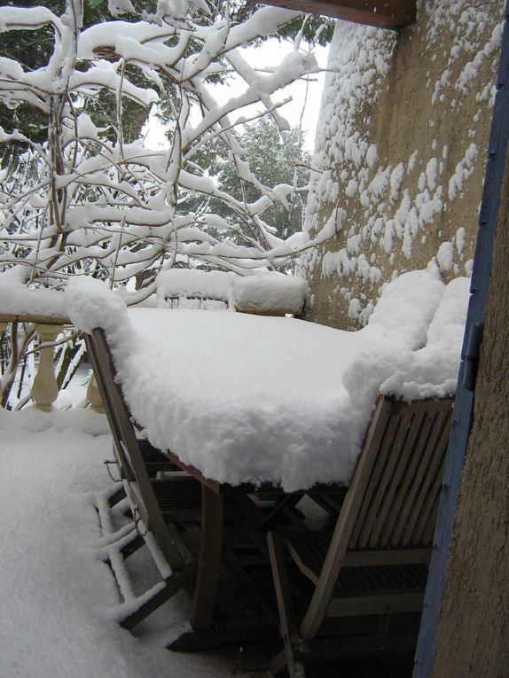 Le 8 janvier 2010, nous étions sous 40 cm de neige...exceptionnel ici! beaucoup de dégâts: de grosses branches cassées, des grands arbres déracinés... mais les mésanges continuent à venir se nourrir à la mangeoire.