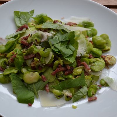 Fêves à l'italienne revisitées 