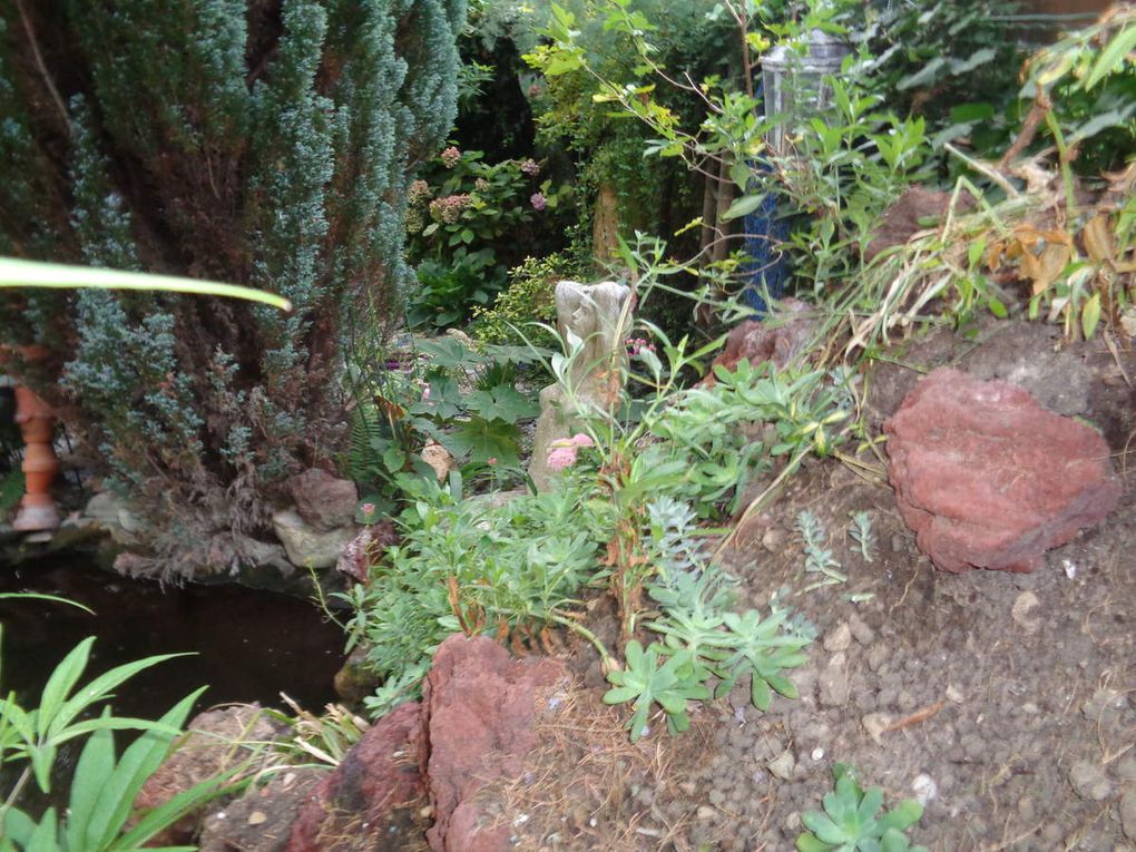 Mon jardin Le Clos fleuri en octobre 