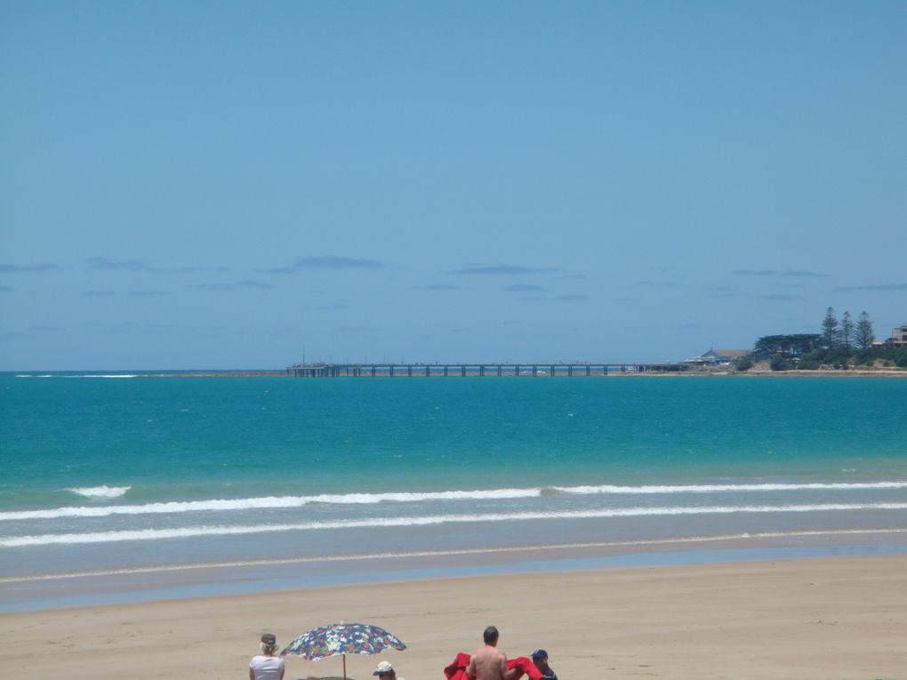 Une des plus Belle Route D'Australie, la Great Ocean Road longe la cote Sud de Melbourne A Adelaide. Les 12 Apotres Sont l'attraction principale de cette Route