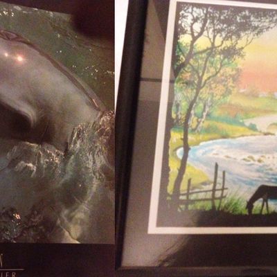 Poster Dauphin + cadre cheval = 4 euros