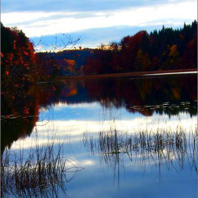 Lac du Petit Maclu - Le Frasnois - Jura