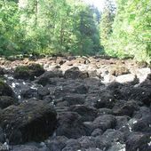 Center Parcs : Prendre de l'eau dans l'Ain, non mais, Hallo !!