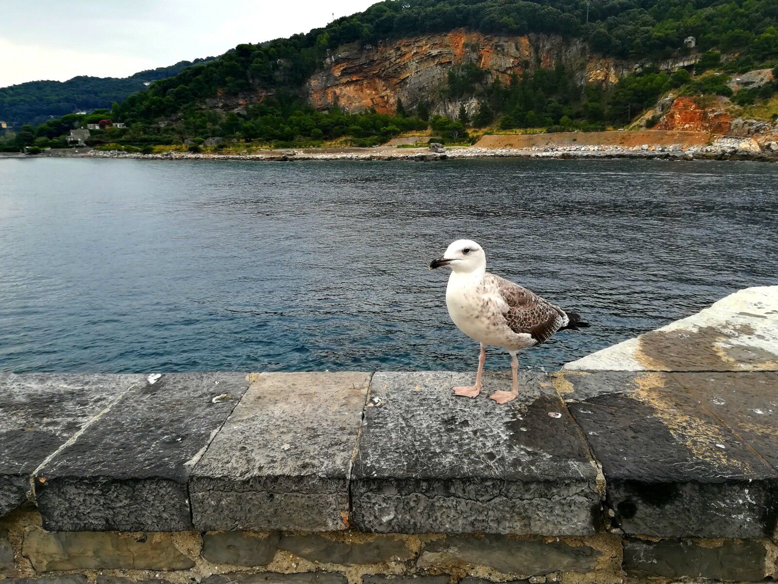 parc naturel regional portovenere