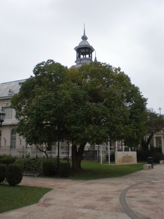 Un après, de retour à Buenos Aires, toujours fascinée par ce mélange d'Europe et d'Amérique, d'Ancien et de Nouveau Monde, emportée par ce bouillonnement, cette énergie, et cette effervescence, sous le charme des quartiers pittoresques et de l