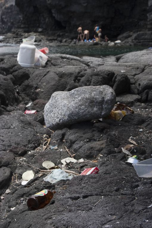 Méthode de suivi environnemental au Cap la Houssaye (Réunion) permettant d’évaluer l’état de santé d’un récif et de détecter des changements
écologiques liés à des perturbations naturelles ou humaines.