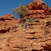 Kings Canyon