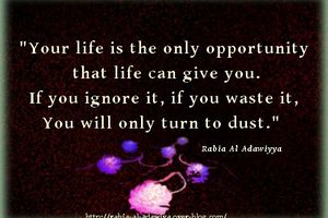 Your life is the only opportunity