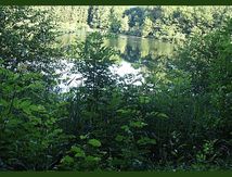 Chartreuse verte en VTT