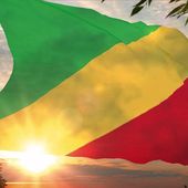 SASSOUFIN : LES POUVOIRS DE LA PERIODE DE TRANSITION POLITIQUE DE 5 ANS AU CONGO BRAZZAVILLE. - congo-objectif2050.over-blog.com