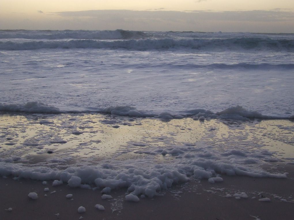 Les photos du mois de Décembre 2009, surtout des plages ...
En bonus, j'en ai rajouté d'autres prises en aout et juillet que je n'avais pas eu le temps de mettre en ligne ... Amusez vous à trouver lesquelles ...