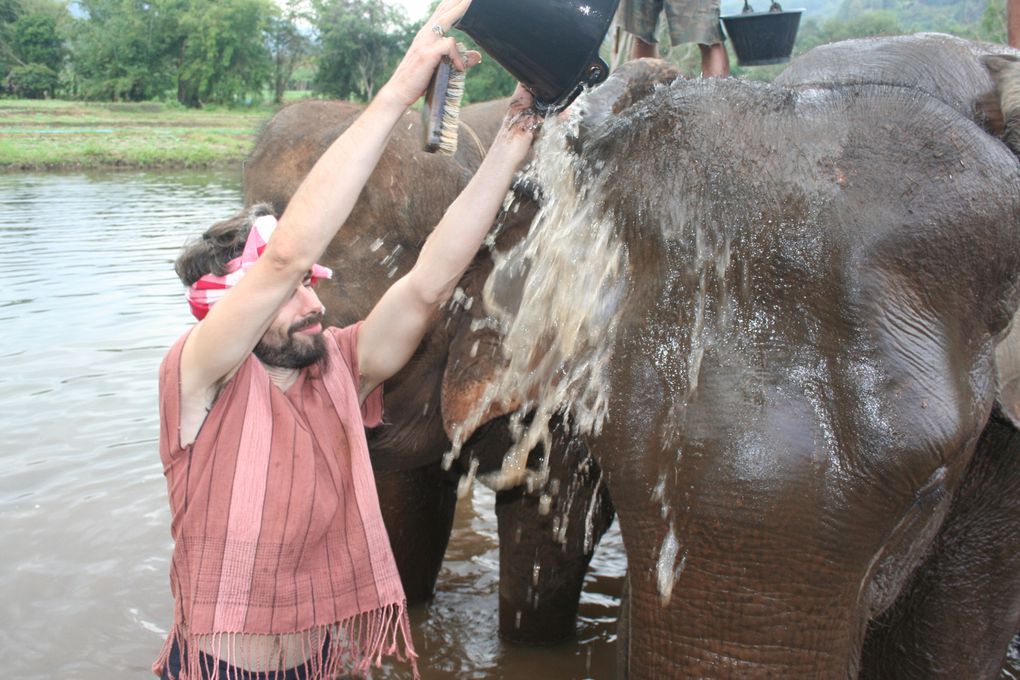 Depart pour le Nord Thailande.
Escale "obligee" a Chiang Mai. Visie de temples, nombreux dans la vieille ville. Training d'elephants.- Pai reggae fest