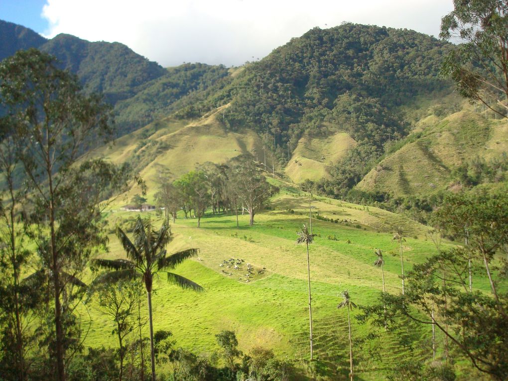 San Agustin, Bogota, Salento et la zone caféière, Las Lajas