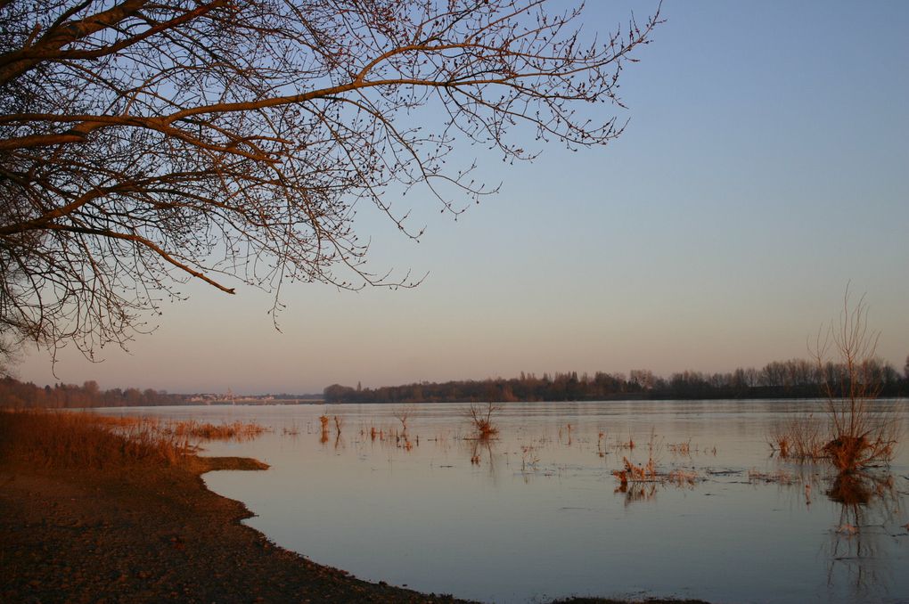 "En vrac", plusieurs centaines de photos sélectionnées des paysages de Loire, des vues des coteaux, des plaines et des bois de Latingy ; de photos des milieux, des végétaux, et des espèces animales qui peuvent être contactées sur ce territoire