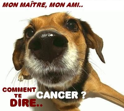 Chiens et Cancer