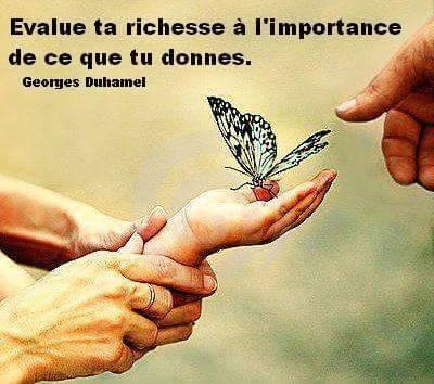 Citations La Vache Rose