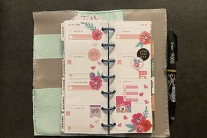 Plan with Me: Mini Skinny happy planner_ Semaine 3